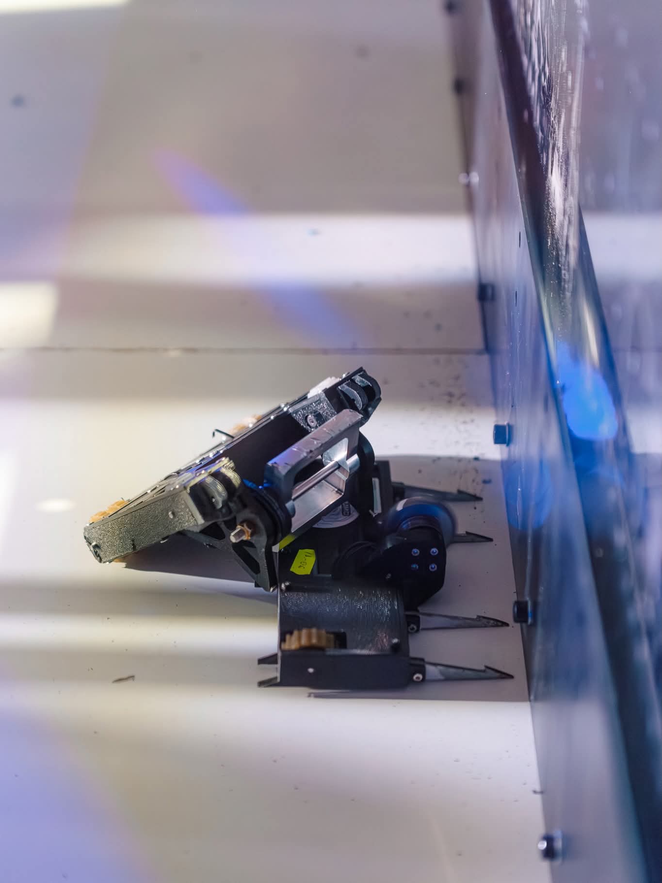 Combat robot in the arena